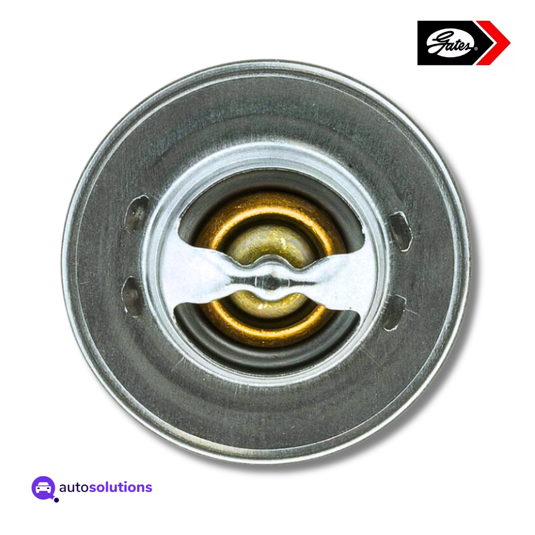 Termostato GATES 33008