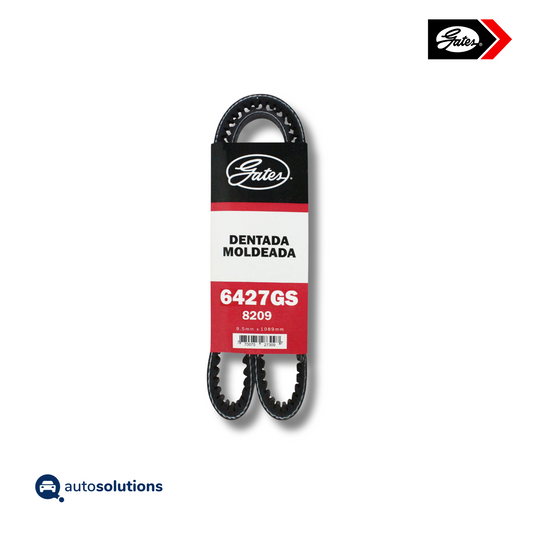 Banda Dentada Moldeada 6427GS