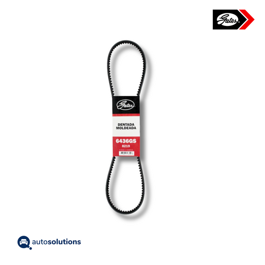 Banda Dentada Moldeada GATES 6436GS