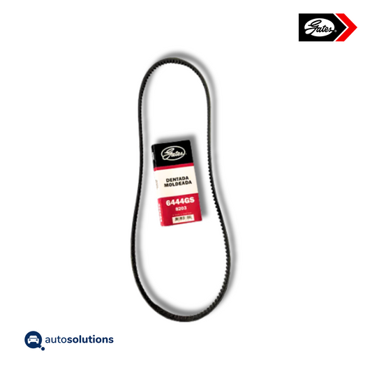 Banda Dentada Moldeada GATES 6444GS
