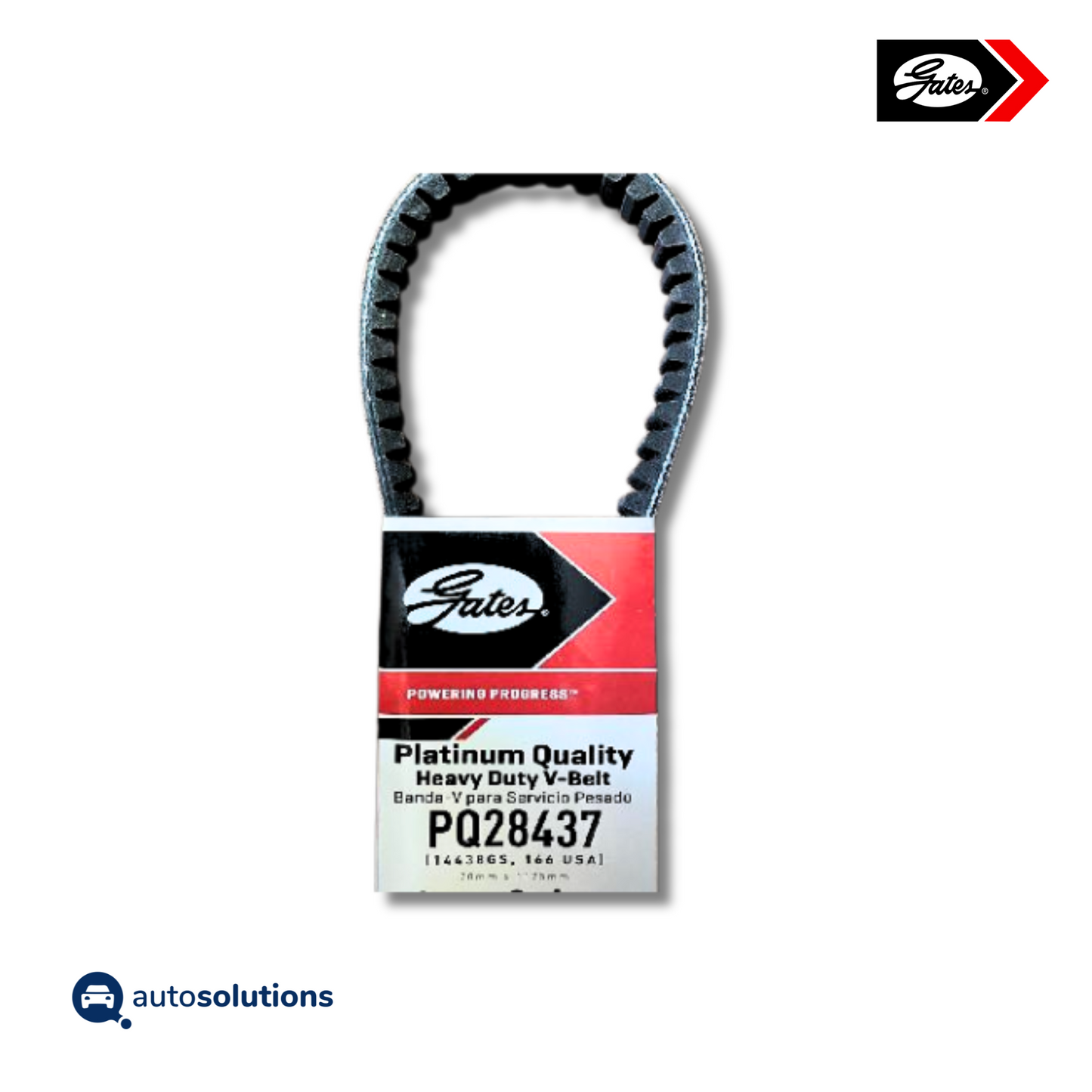 Banda Dentada GATES PQ28437
